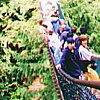 Lynn Canyon Suspension Bridge
